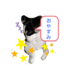 ラブリー ふくちゃん（個別スタンプ：4）