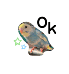 piross（個別スタンプ：6）