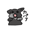 ポメチーヤマト（個別スタンプ：5）