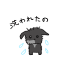 ポメチーヤマト（個別スタンプ：7）