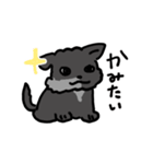 ポメチーヤマト（個別スタンプ：11）