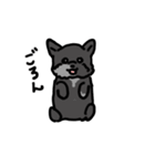 ポメチーヤマト（個別スタンプ：13）