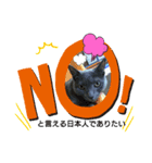 猫で意思表示ニャ（個別スタンプ：6）
