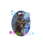 猫で意思表示ニャ（個別スタンプ：7）