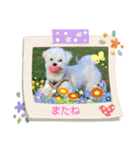 うずあずNo.4（個別スタンプ：8）