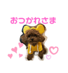 HONEY～日常会話編～（個別スタンプ：30）