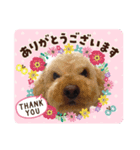 りく・そら・もこスタンプ（個別スタンプ：1）