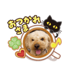 りく・そら・もこスタンプ（個別スタンプ：2）