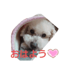 りく・そら・もこスタンプ（個別スタンプ：3）