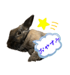 ゴブリンのスタンプ（個別スタンプ：2）