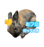 ゴブリンのスタンプ（個別スタンプ：10）