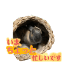 ゴブリンのスタンプ（個別スタンプ：13）
