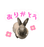 ゴブリンのスタンプ（個別スタンプ：15）