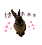 ゴブリンのスタンプ（個別スタンプ：16）