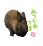 ゴブリンのスタンプ（個別スタンプ：19）