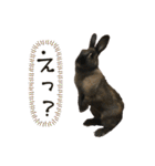 ゴブリンのスタンプ（個別スタンプ：22）