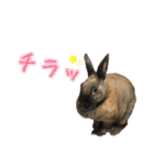 ゴブリンのスタンプ（個別スタンプ：33）