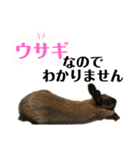 ゴブリンのスタンプ（個別スタンプ：40）