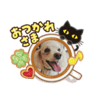 仲良し兄妹エルリン（個別スタンプ：12）