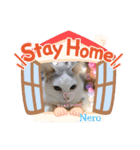 メロとネロ（個別スタンプ：2）