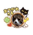 メロとネロ（個別スタンプ：10）