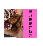 チェリー(  ´꒳`  )vol.3（個別スタンプ：1）