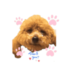cocopanaya（個別スタンプ：1）