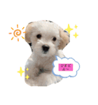 cocopanaya（個別スタンプ：9）