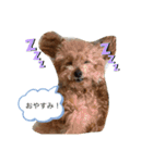 cocopanaya（個別スタンプ：10）