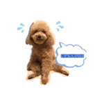 cocopanaya（個別スタンプ：18）