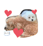 cocopanaya（個別スタンプ：23）
