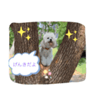 cocopanaya（個別スタンプ：24）