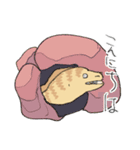 だるだるうつぼくん（個別スタンプ：1）