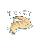 だるだるうつぼくん（個別スタンプ：33）