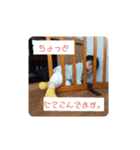 律花が一番かわいい！（個別スタンプ：5）