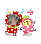 とんとんとんとわんわん（個別スタンプ：8）