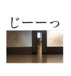 なつこさまの日常①（個別スタンプ：12）