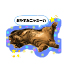 うめだきなこ（個別スタンプ：3）
