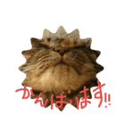 うめだきなこ（個別スタンプ：7）