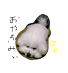どうも、ほいっぷと申します①（個別スタンプ：5）