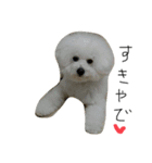 どうも、ほいっぷと申します①（個別スタンプ：8）