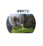 幸福の日常（個別スタンプ：4）