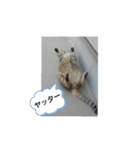 幸福の日常（個別スタンプ：11）