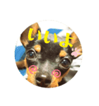 RURU スタンプ（個別スタンプ：13）