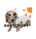 むぎちゃんスタンプE（個別スタンプ：1）