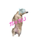 むぎちゃんスタンプE（個別スタンプ：8）