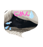 なーたん！Life（個別スタンプ：5）