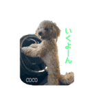 COCOスタンプ❀（個別スタンプ：4）