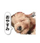 COCOスタンプ❀（個別スタンプ：7）