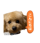 COCOスタンプ❀（個別スタンプ：8）
